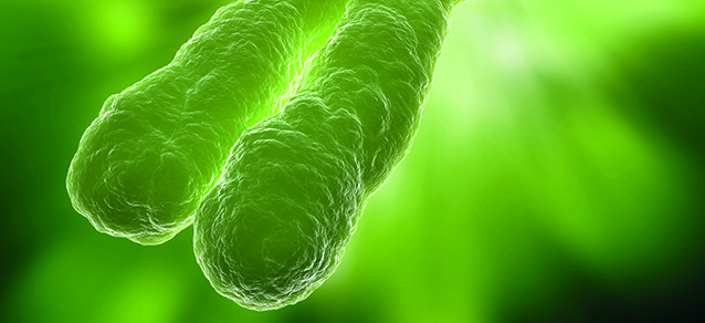 Allgemein-/Innere Medizin